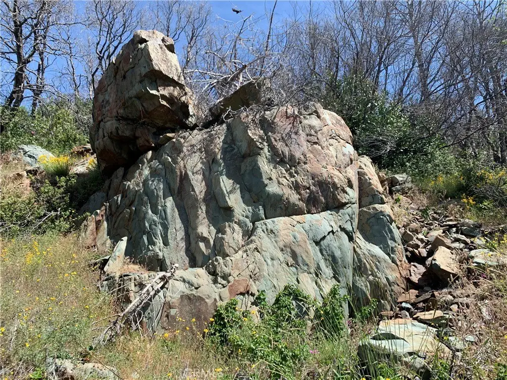 Picture 29