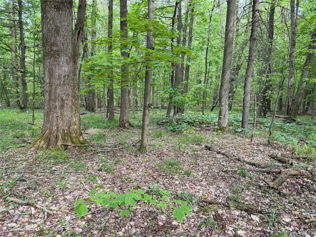 Picture 4