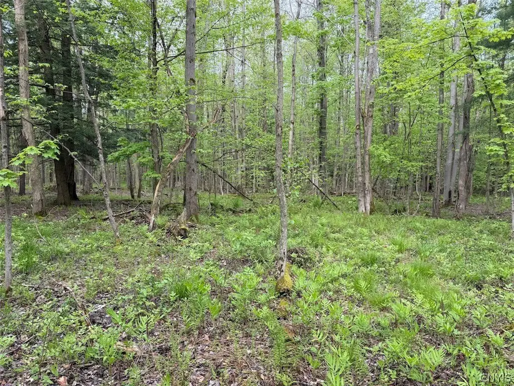 Picture 9