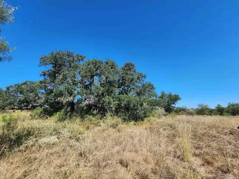30 Acres of Texas Wilderness