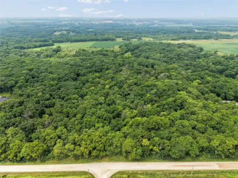 Timbered Residential Acreage with Road Access