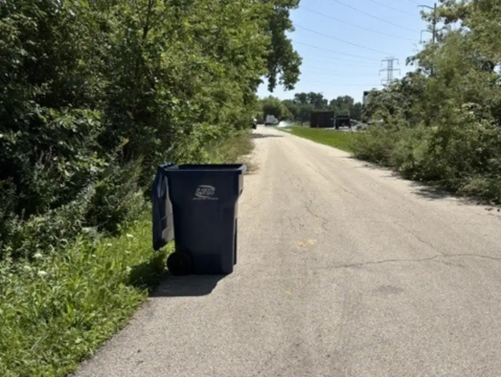 Picture 4