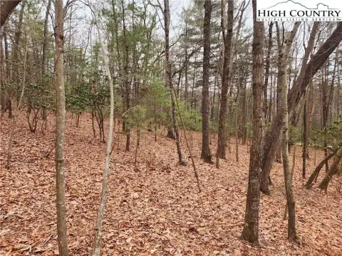 Land in Gated Mountain Community