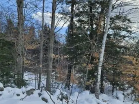 Residential Land in Weare, NH