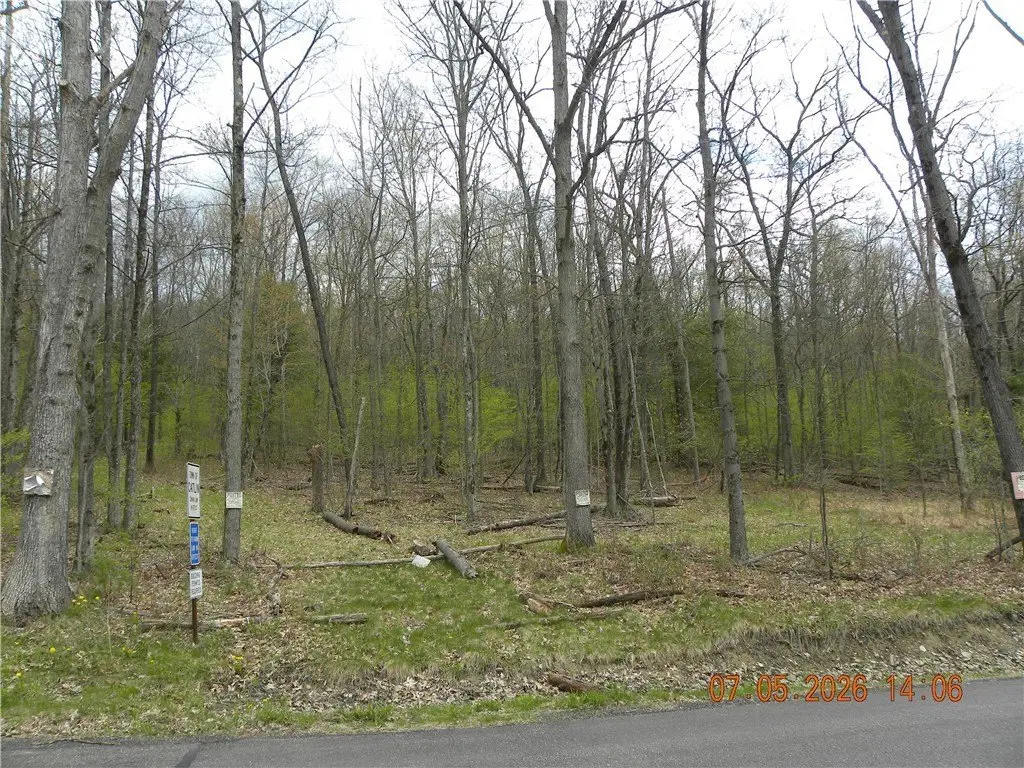 Picture 5