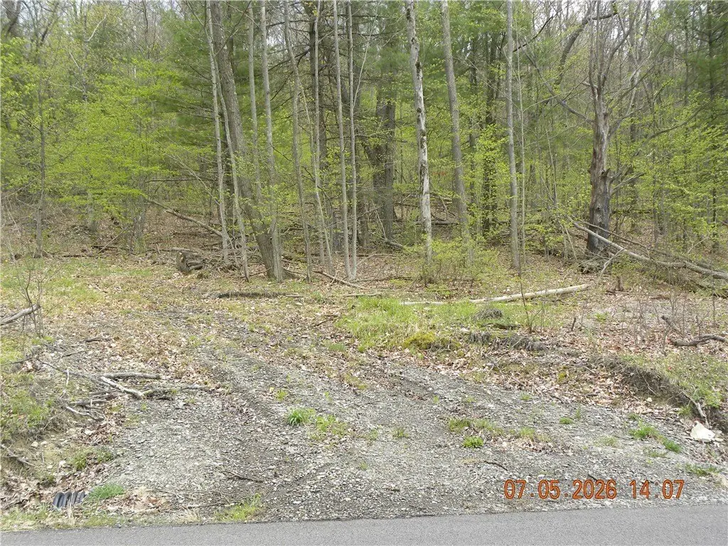 Picture 3