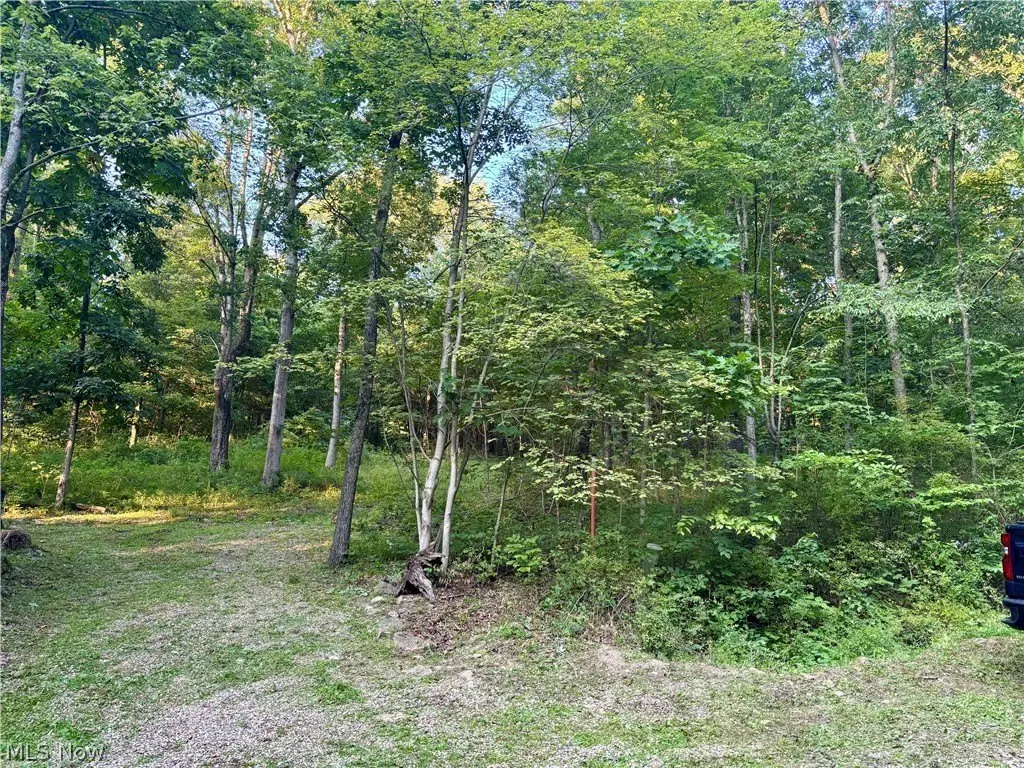 Picture 6