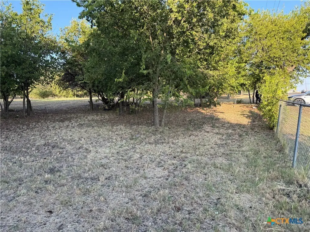 Picture 17