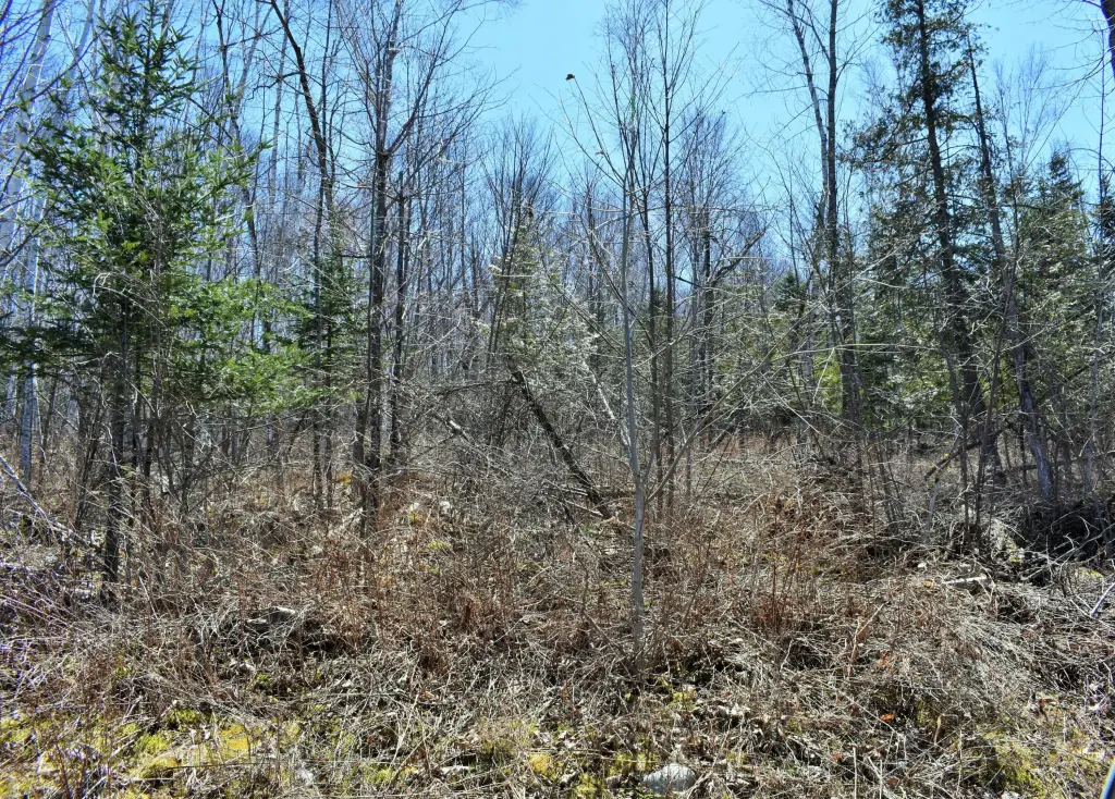 Picture 23