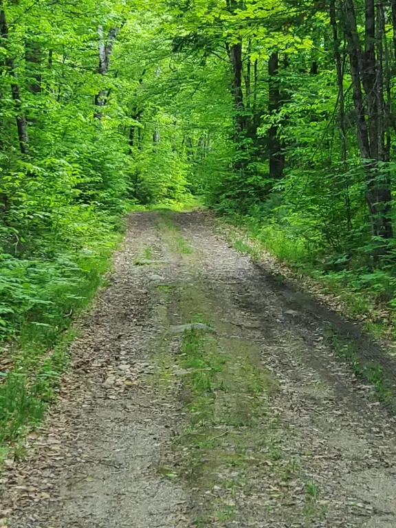 Picture 18
