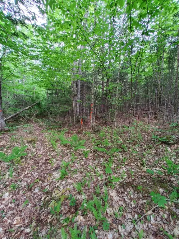 Picture 8