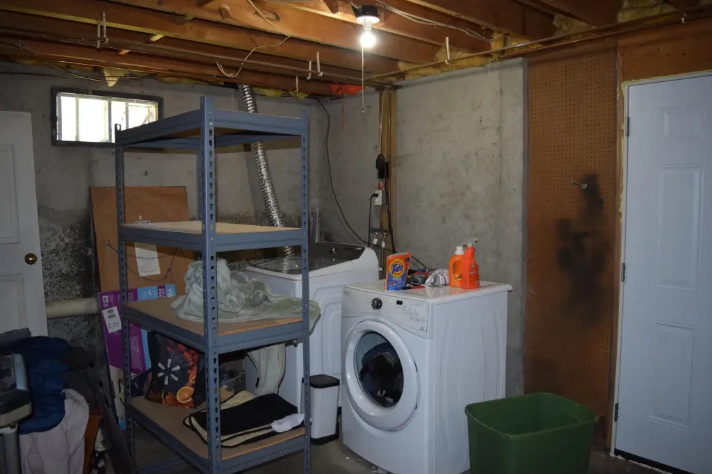 Picture 31
