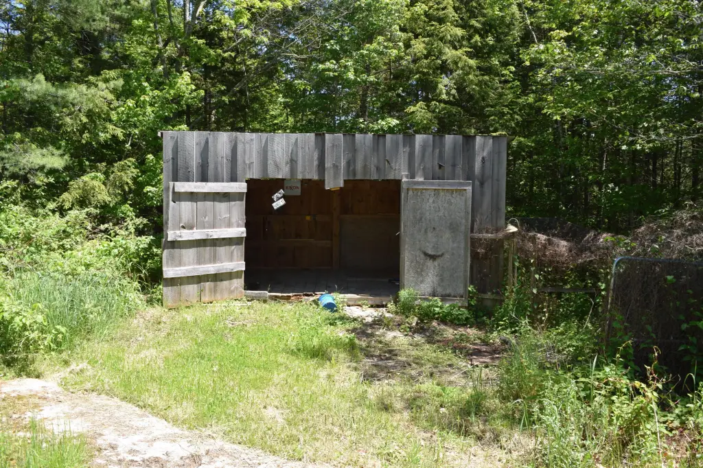 Picture 41