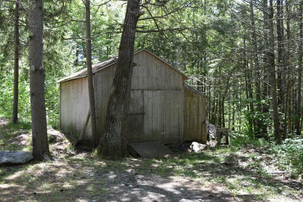 Picture 43