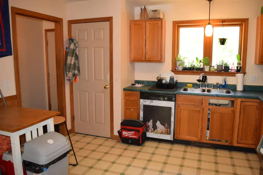 Picture 24