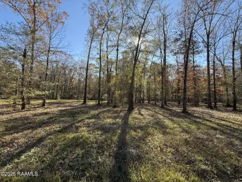 Residential Land in Ville Platte