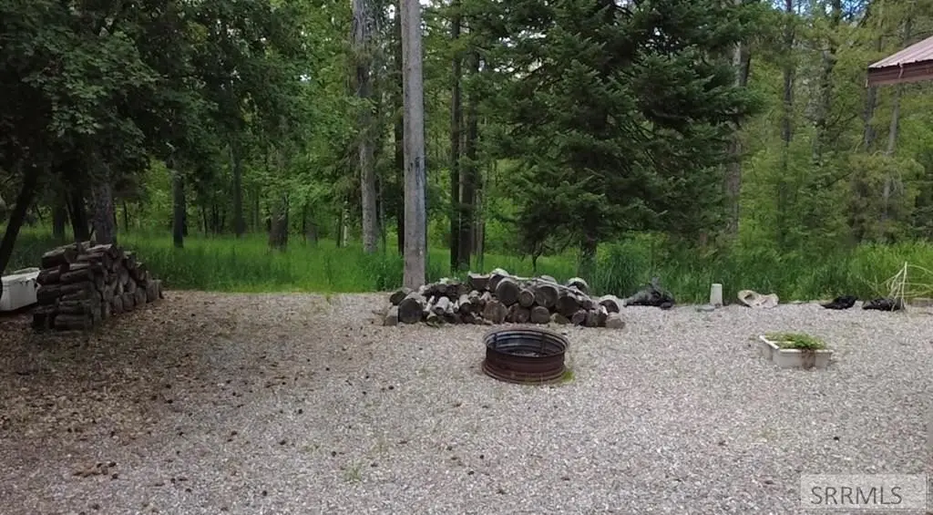 Picture 6