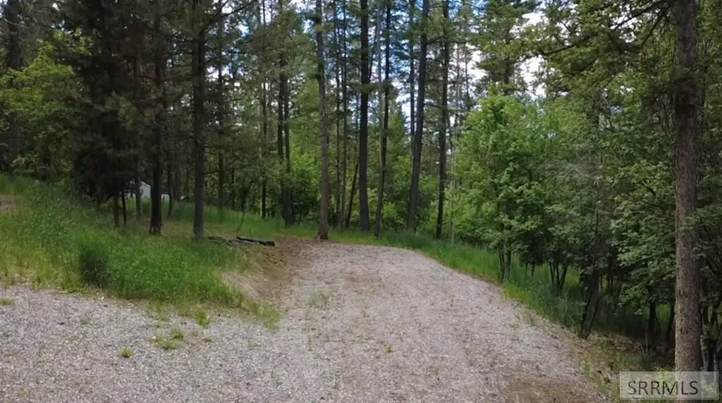 Picture 5