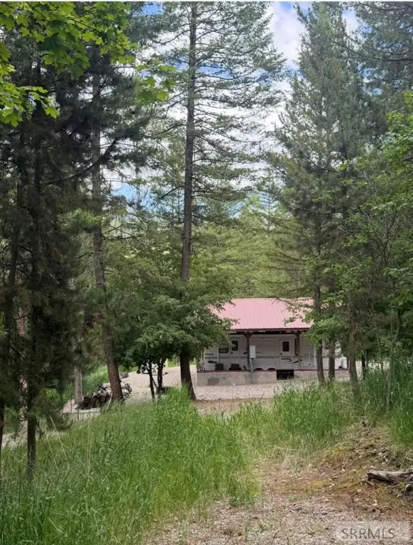Picture 2