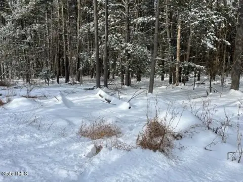 West Coxsackie Buildable Land Parcel