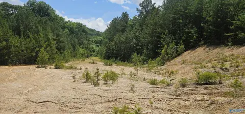 Unique Fort Payne Acreage