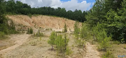 Unique Fort Payne Acreage