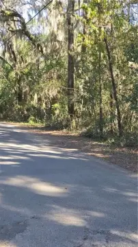 Residential Land in Darien, GA
