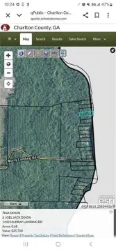 Riverfront Acreage in Folkston, Georgia