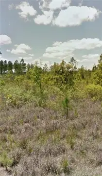 Residential Lot in Waynesville, GA