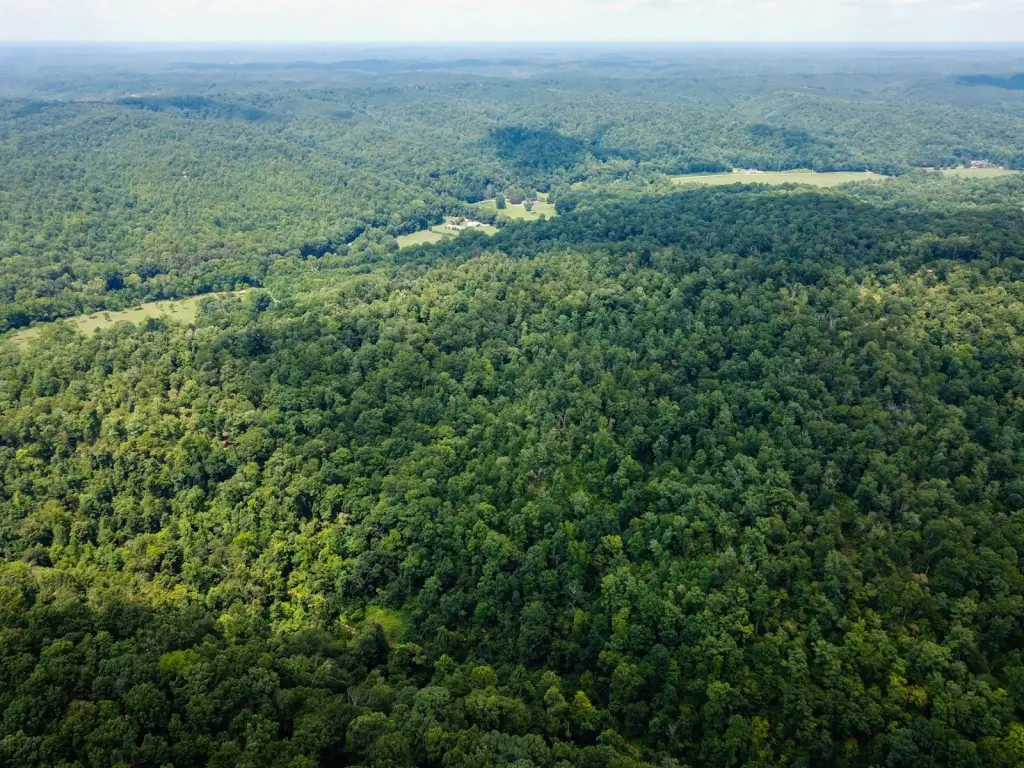 Picture 25