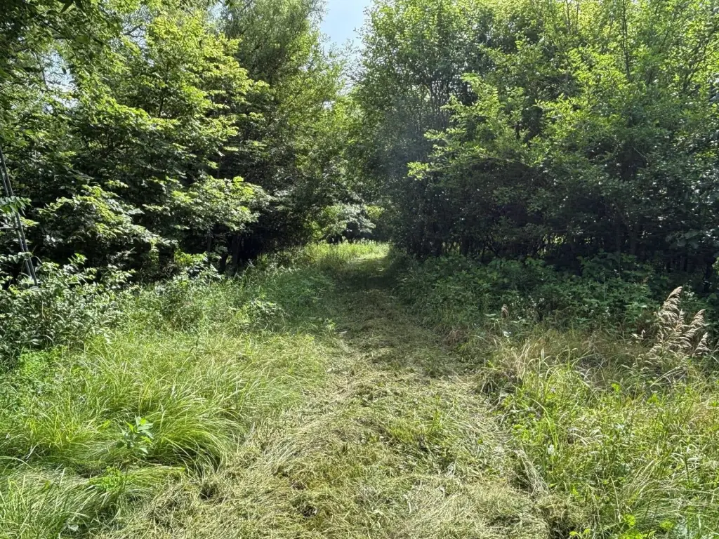 Picture 19