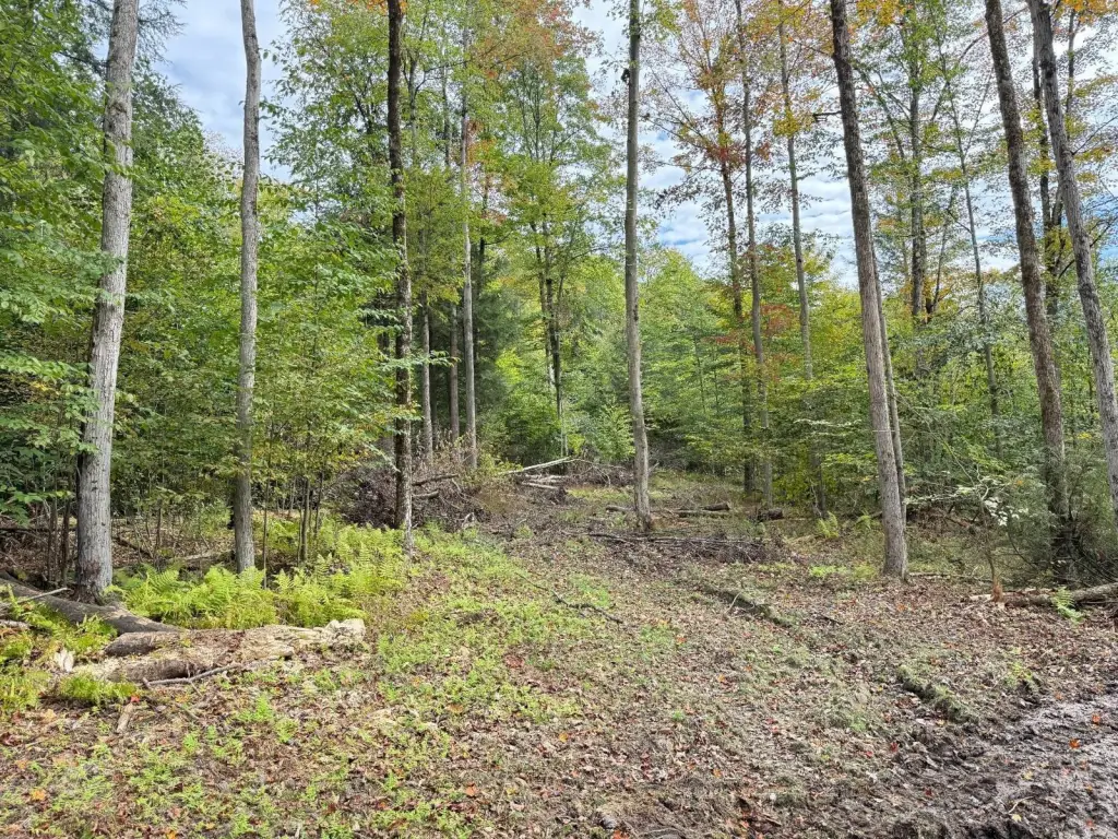 Picture 17