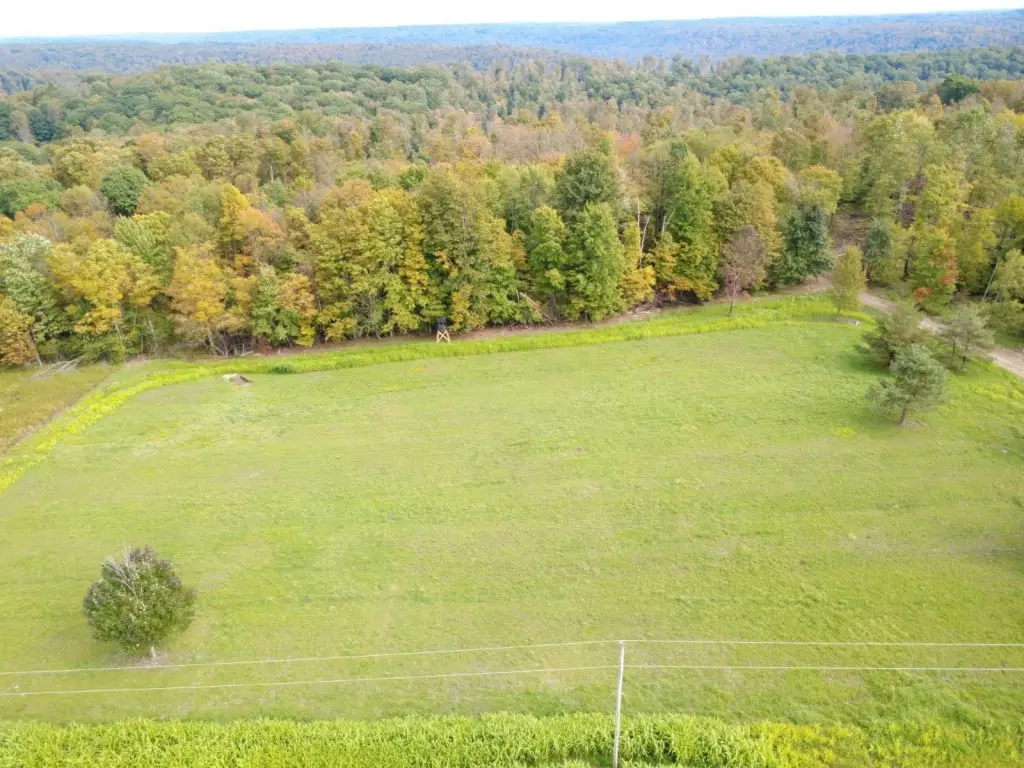 Picture 5