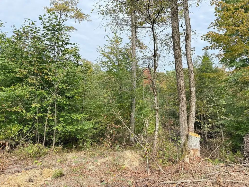 Picture 25