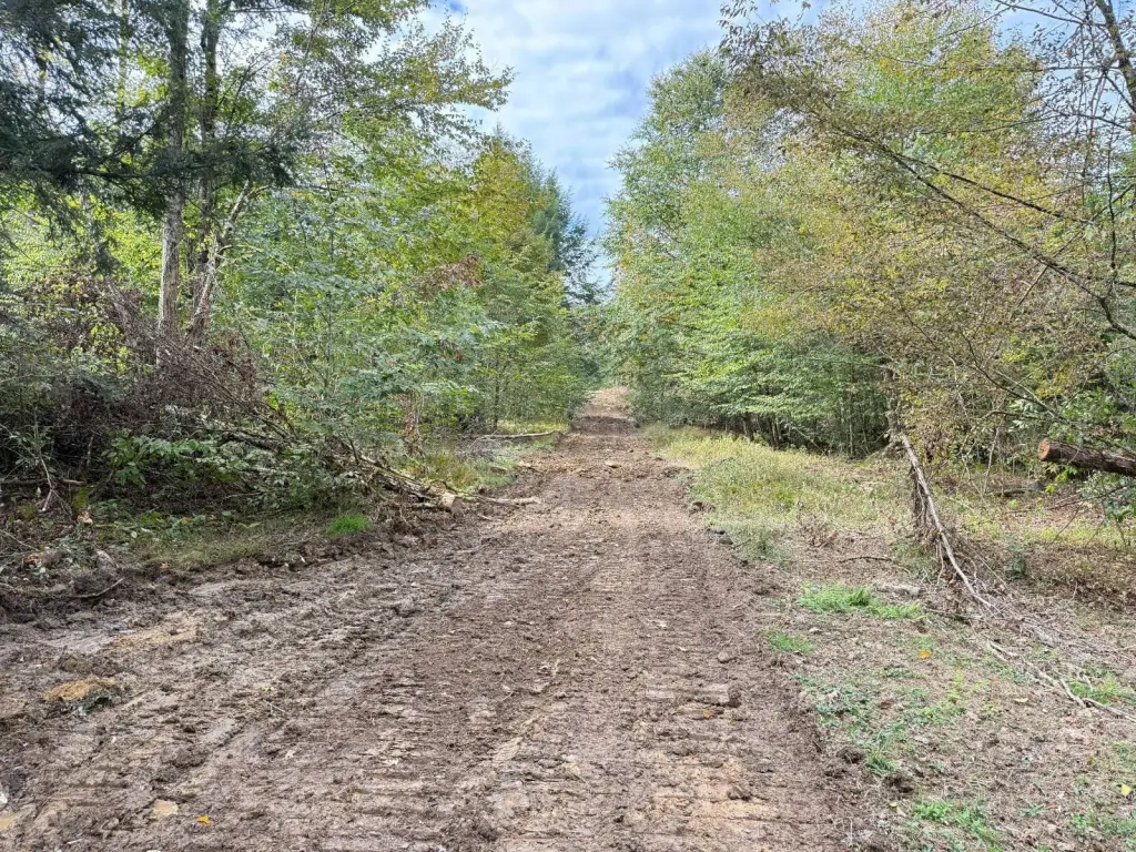 Picture 23