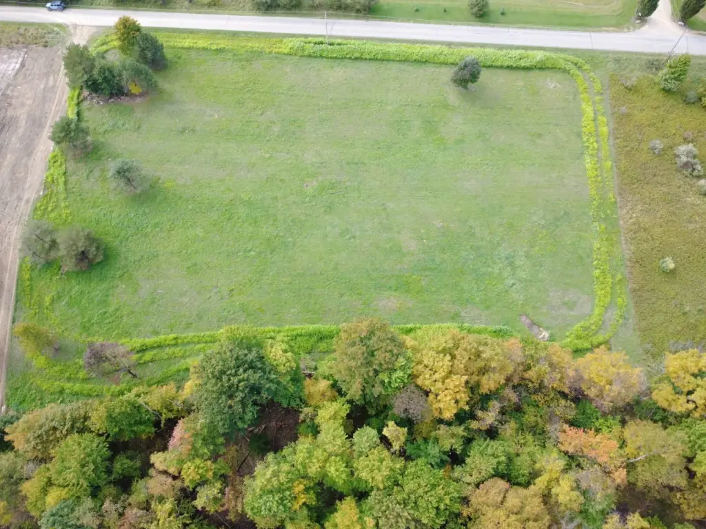 Picture 4