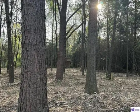 Ready-to-Build Lot Near Campbellsville