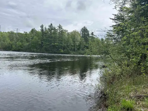 Waterfront Land with High-Bank River Frontage