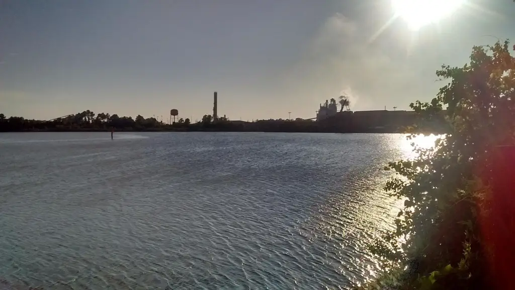Picture 5