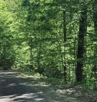 Hiawassee Vacant Lot with Views