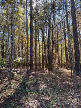 Vacant Land Near Natchez Trace
