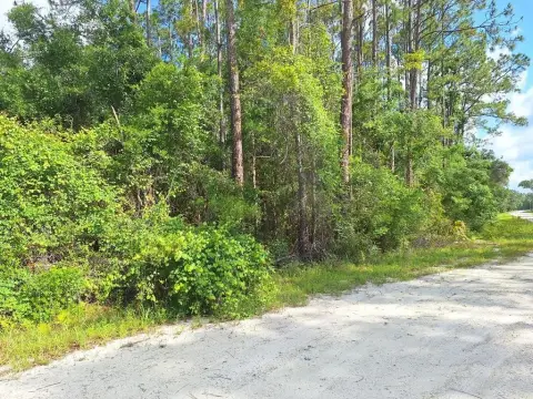 Wooded 5-Acre Lot, No HOA