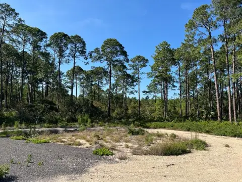 Expansive Acreage Near Cedar Key