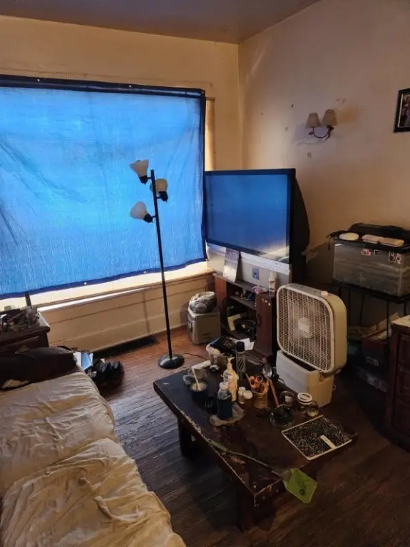 Picture 6
