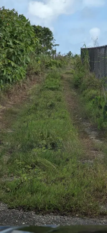 Picture 12