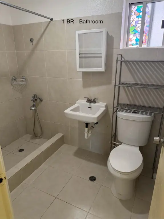 Picture 15