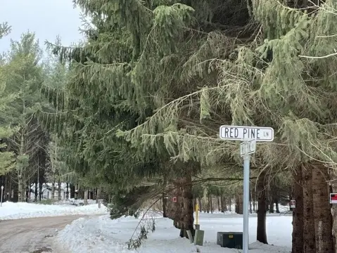 Residential Land in Croswell, MI