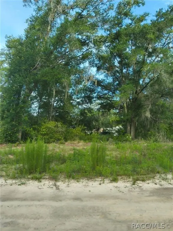 Picture 9