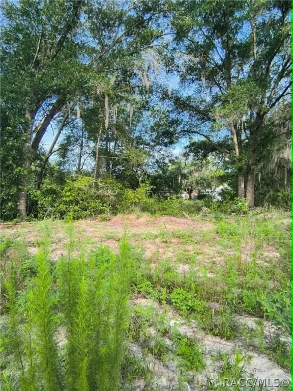 Picture 4