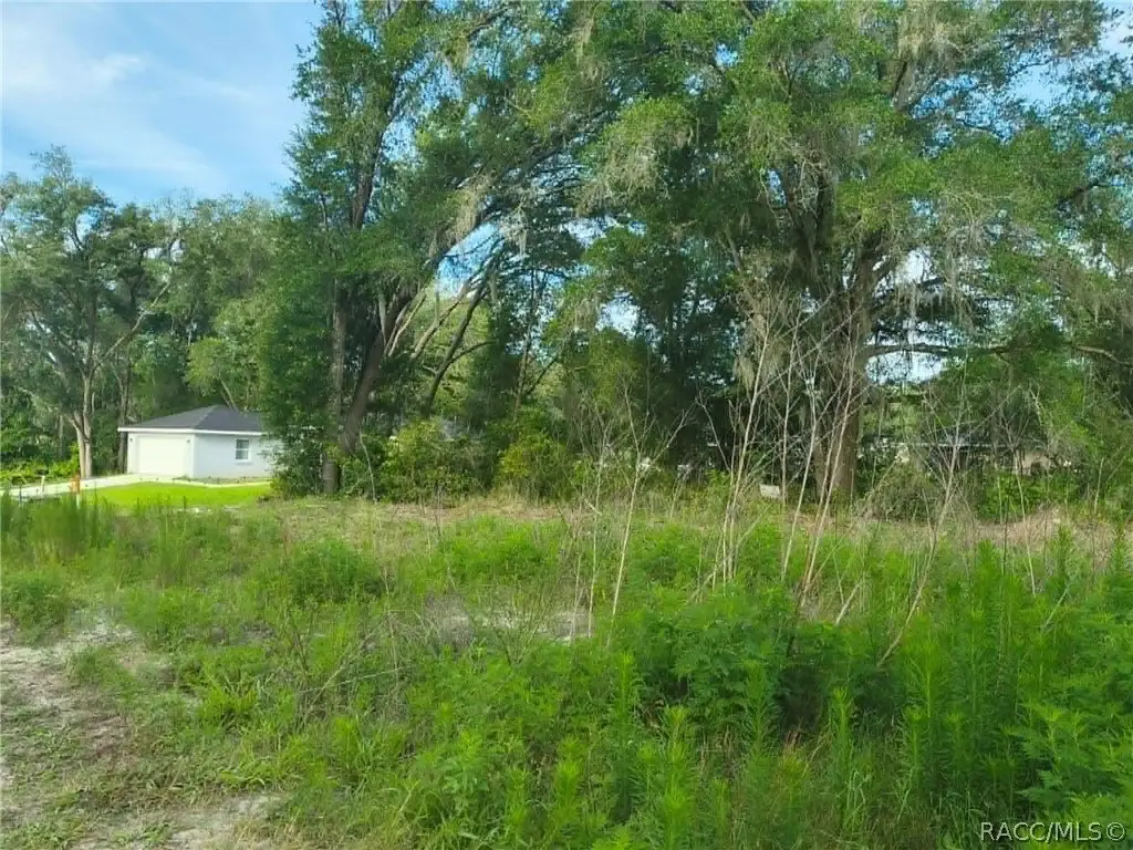 Picture 20